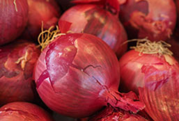 免费用虚拟号码发短信