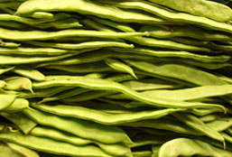 电话在线轰炸测试