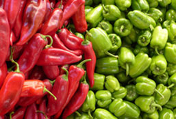 电话在线轰炸测试