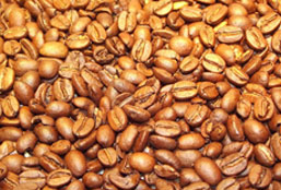 绿色轰炸工具版